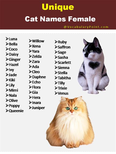 unusual cat names|Iba pa.